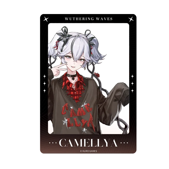 Wuthering Waves - Focused Freeze Series Character Acrylic Clear Card Karasumaya