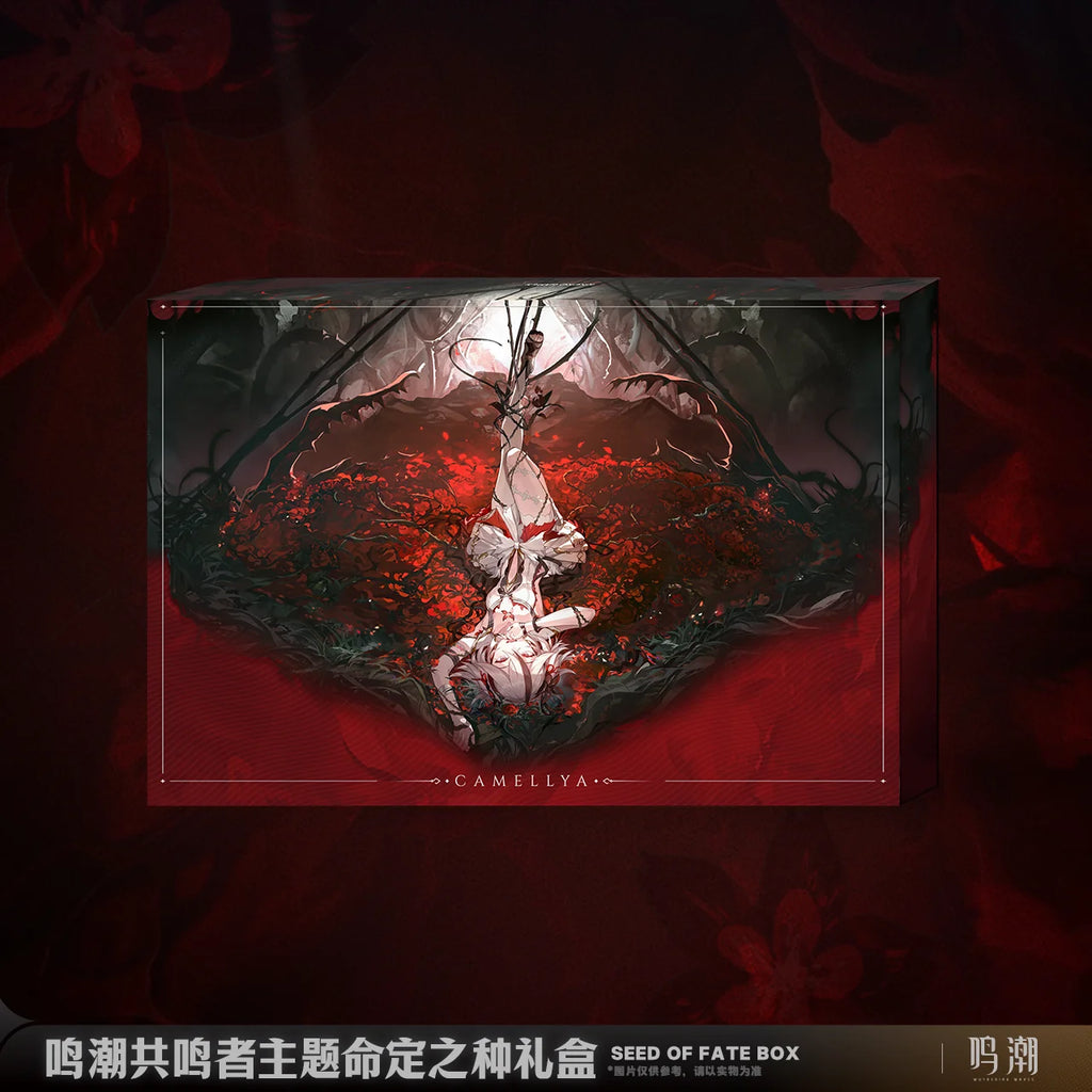 Wuthering Waves - Resonator Themed Seed of Fate Box KURO GAMES