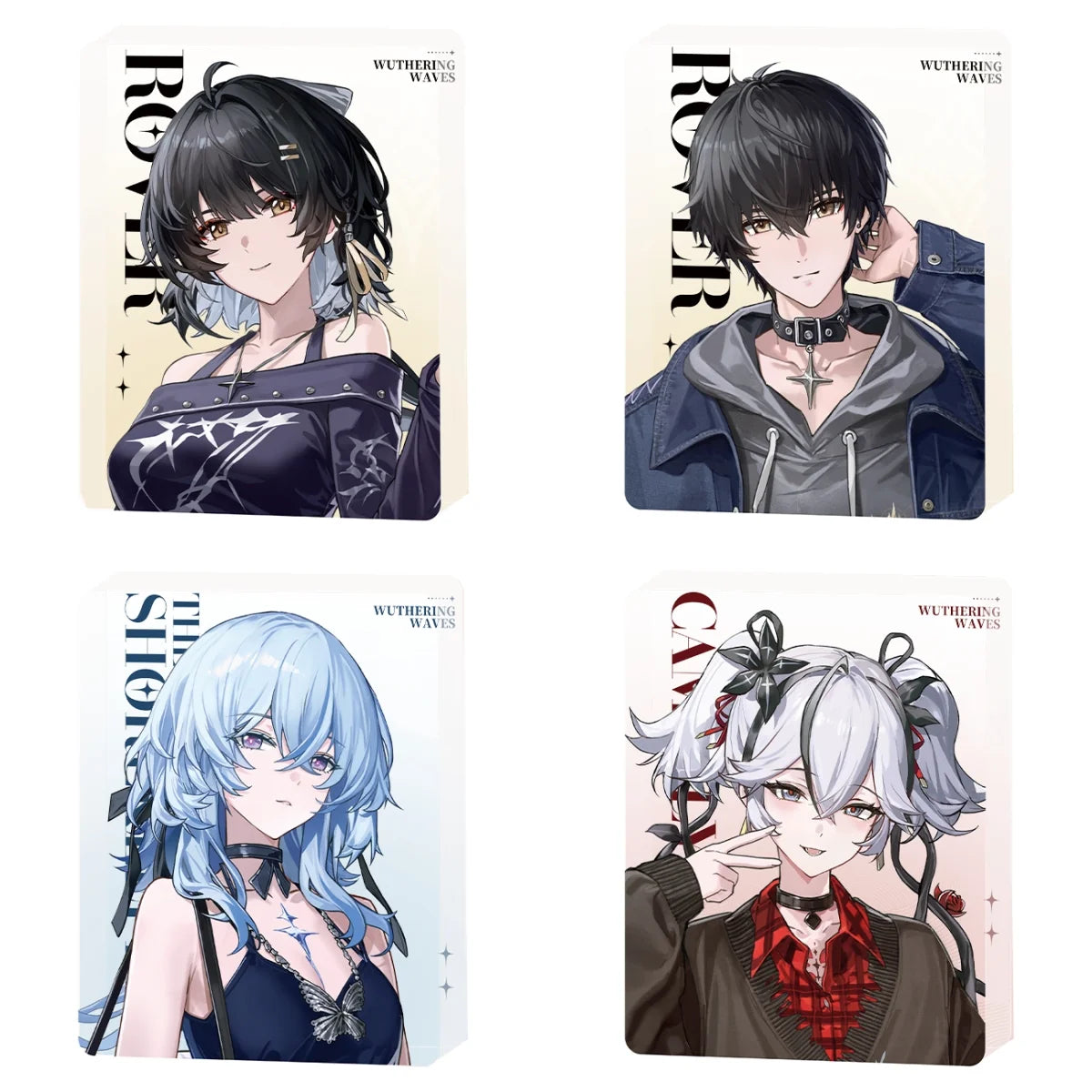 Wuthering Waves - Focused Freeze Series Character Acrylic Block Karasumaya