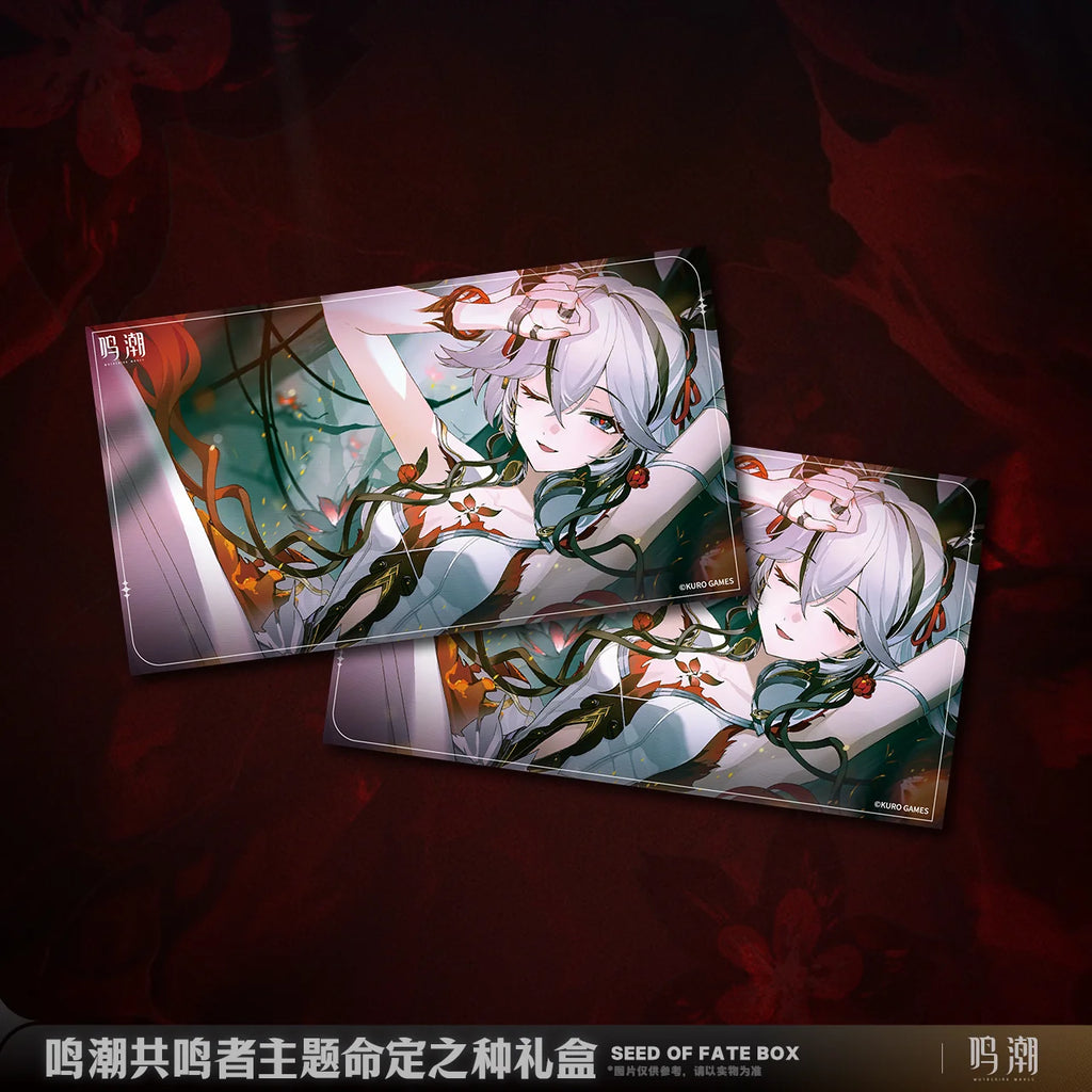 Wuthering Waves - Resonator Themed Seed of Fate Box KURO GAMES