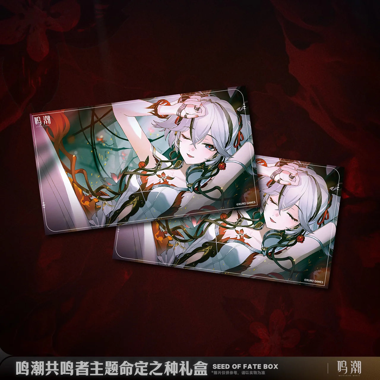 Wuthering Waves - Resonator Themed Seed of Fate Box KURO GAMES