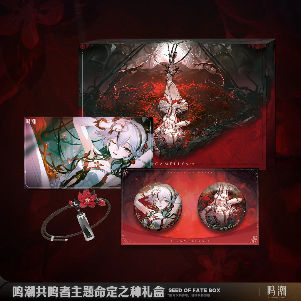 Wuthering Waves - Resonator Themed Seed of Fate Box KURO GAMES