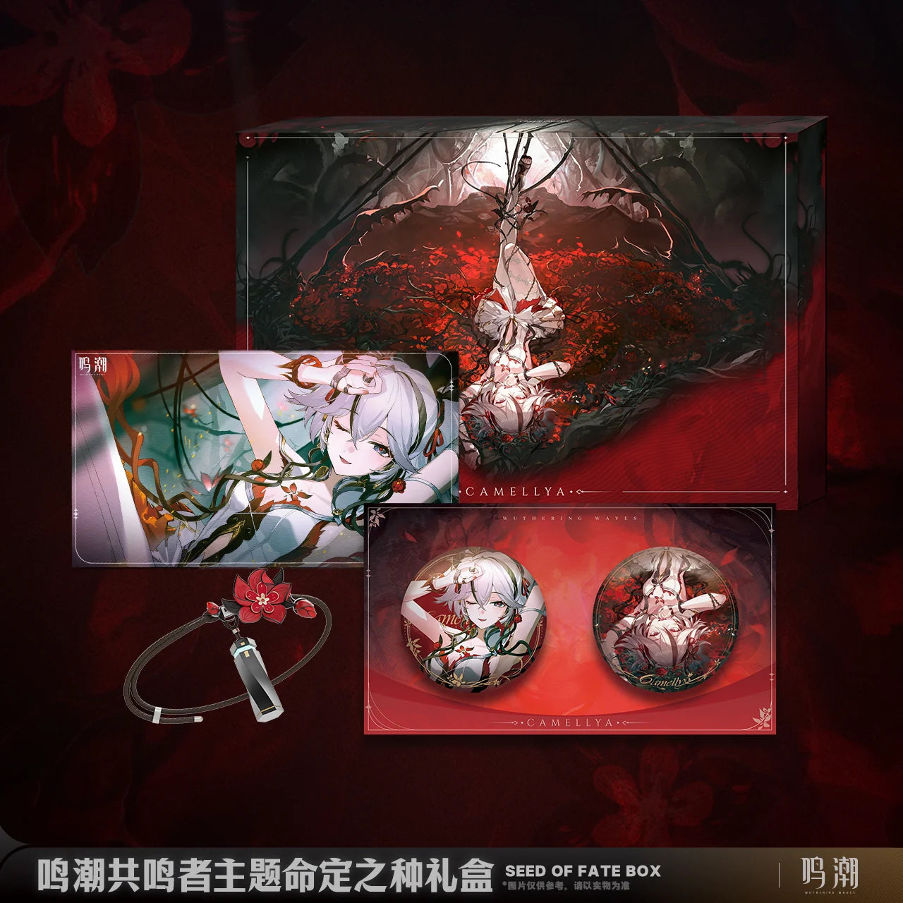 Wuthering Waves - Resonator Themed Seed of Fate Box KURO GAMES