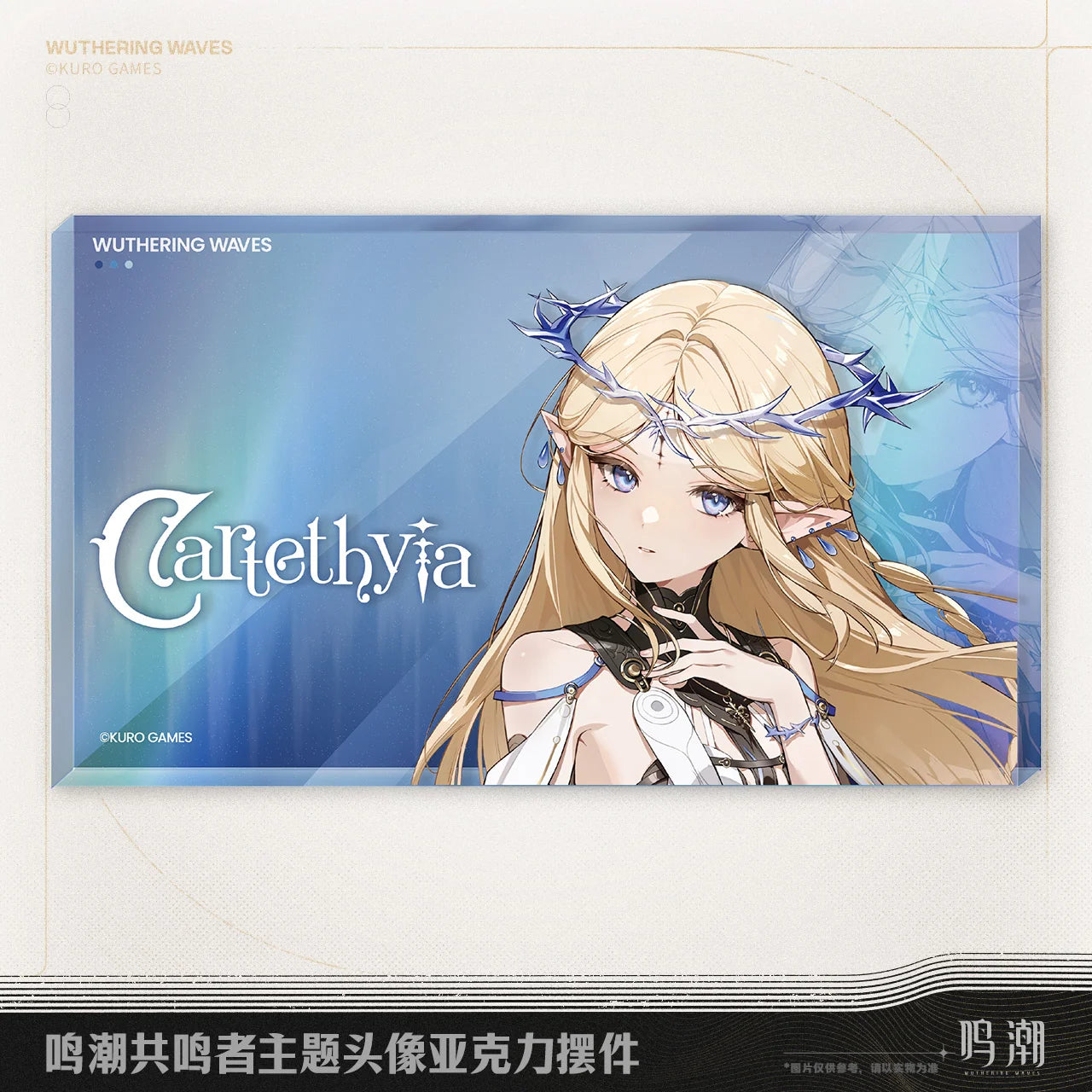 Wuthering Waves - Resonator Themed Avatar Acrylic Block KURO GAMES