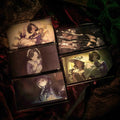 Reverse: 1999 - Route 77 The Haunted Highway Illustration Multi Postcard Packs BLUEPOCH