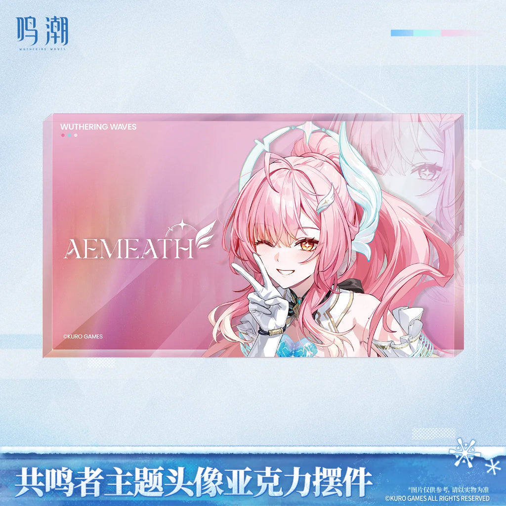 Wuthering Waves - Resonator Themed Avatar Acrylic Block KURO GAMES