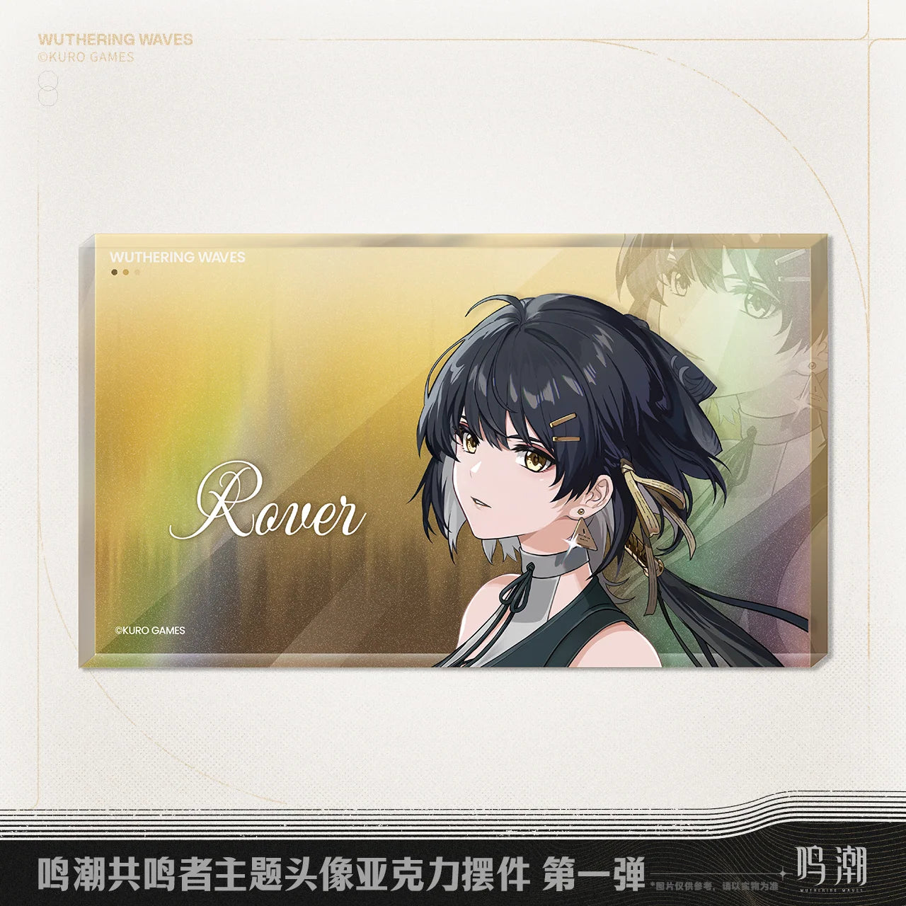 Wuthering Waves - Resonator Themed Avatar Acrylic Block Vol.1 KURO GAMES