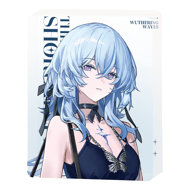 Wuthering Waves - Focused Freeze Series Character Acrylic Block Karasumaya