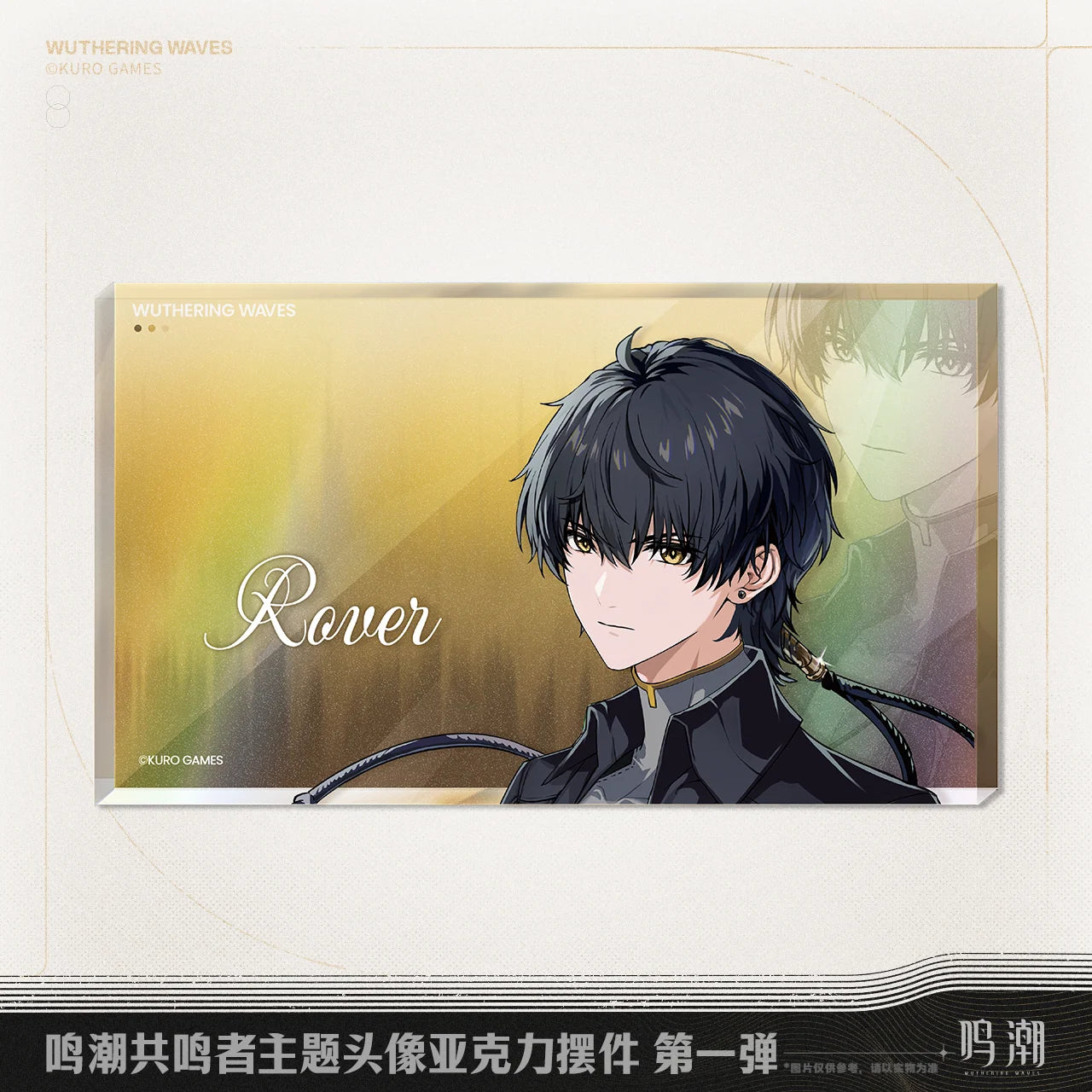 Wuthering Waves - Resonator Themed Avatar Acrylic Block Vol.1 KURO GAMES
