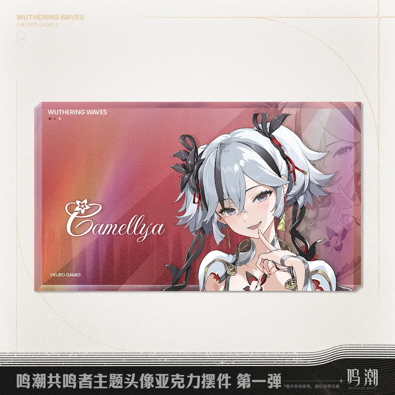 Wuthering Waves - Resonator Themed Avatar Acrylic Block Vol.1 KURO GAMES