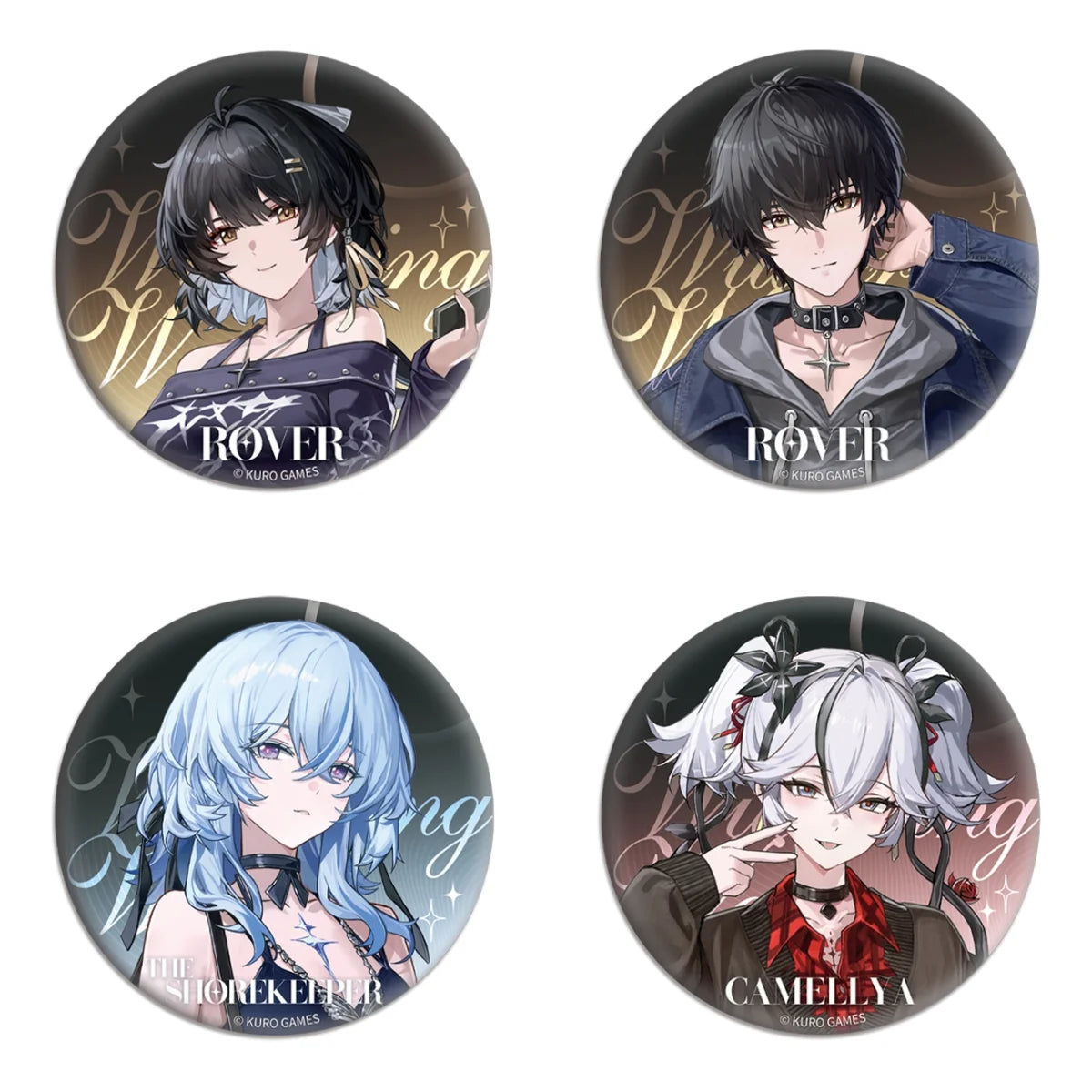 Wuthering Waves - Focused Freeze Series Character Glitter Badge Karasumaya