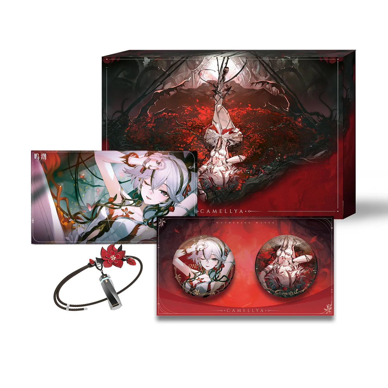 Wuthering Waves - Resonator Themed Seed of Fate Box KURO GAMES
